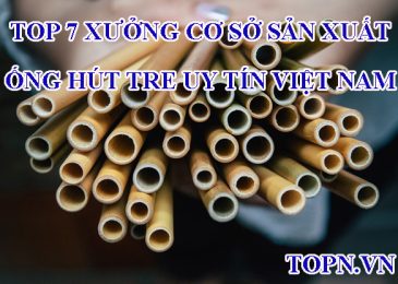 Top 7 xưởng cơ sở sản xuất ống hút tre uy tín Việt Nam